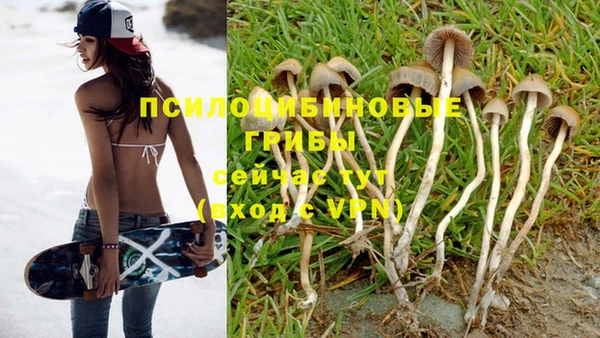 метамфетамин Белокуриха