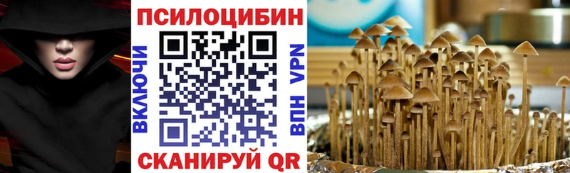 сколько стоит Белово Псилоцибиновые грибы GOLDEN TEACHER